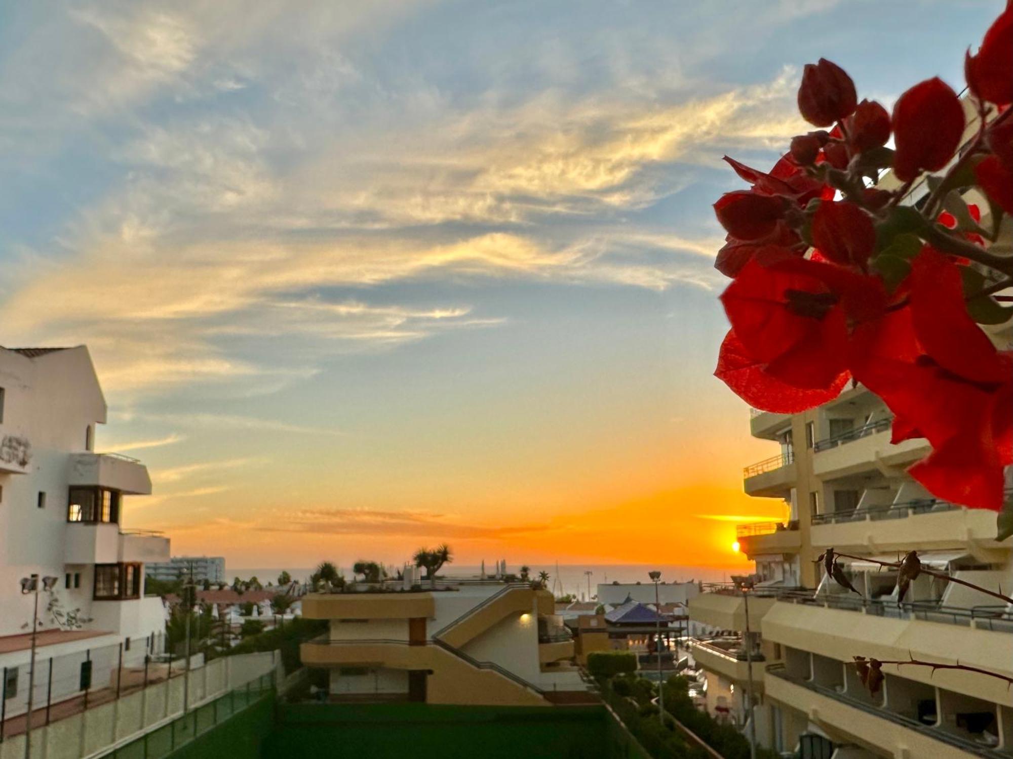 Apartment In Ocean Park, Costa Adeje, Tenerife Dış mekan fotoğraf